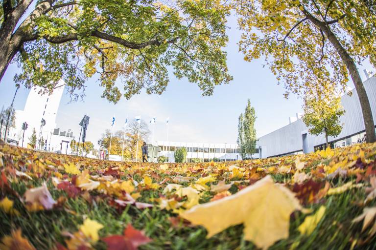 Kuvituskuva: Syyskuva Tampereen yliopiston pihalta