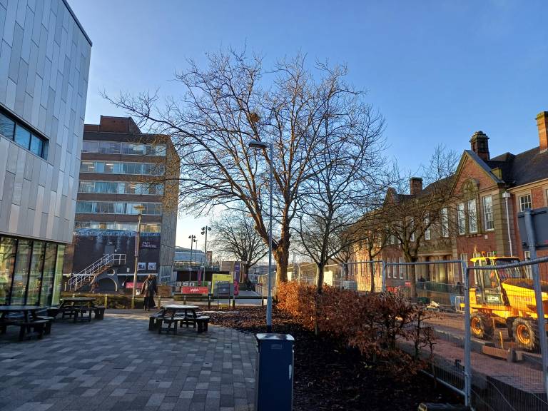 Street with a tree in the middle and buildings on both sides of the street.