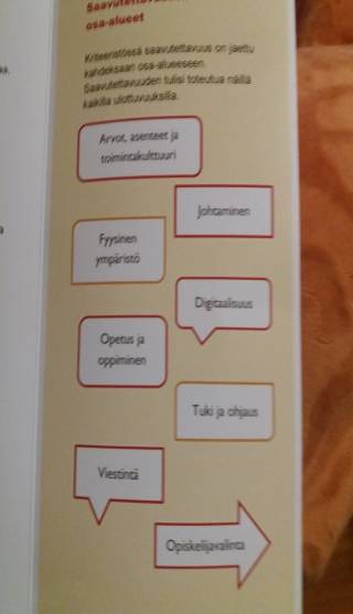 Esite saavutettavuuskriteeristöstä kuvituskuvana.