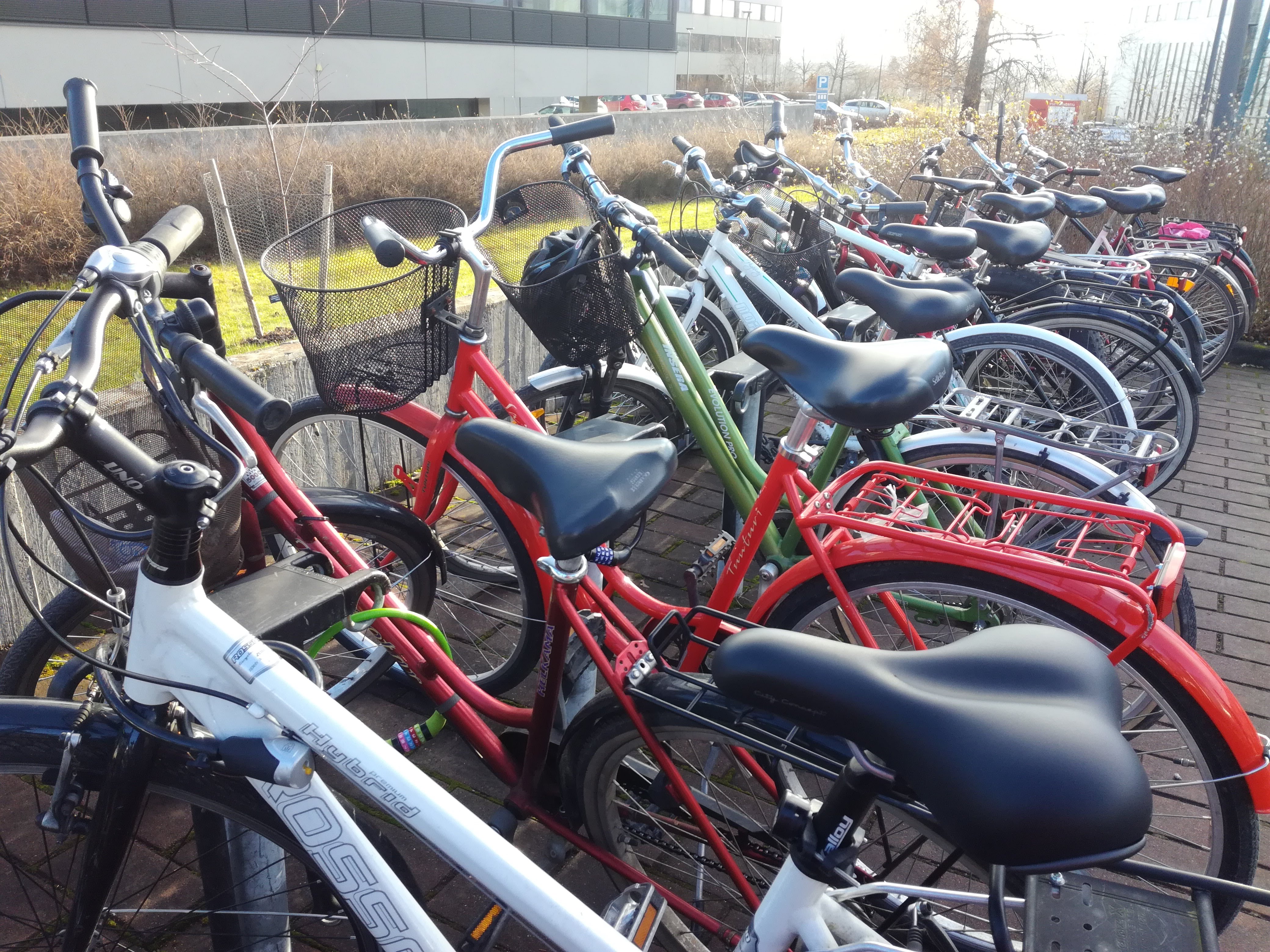 bikes parked in the university's yard