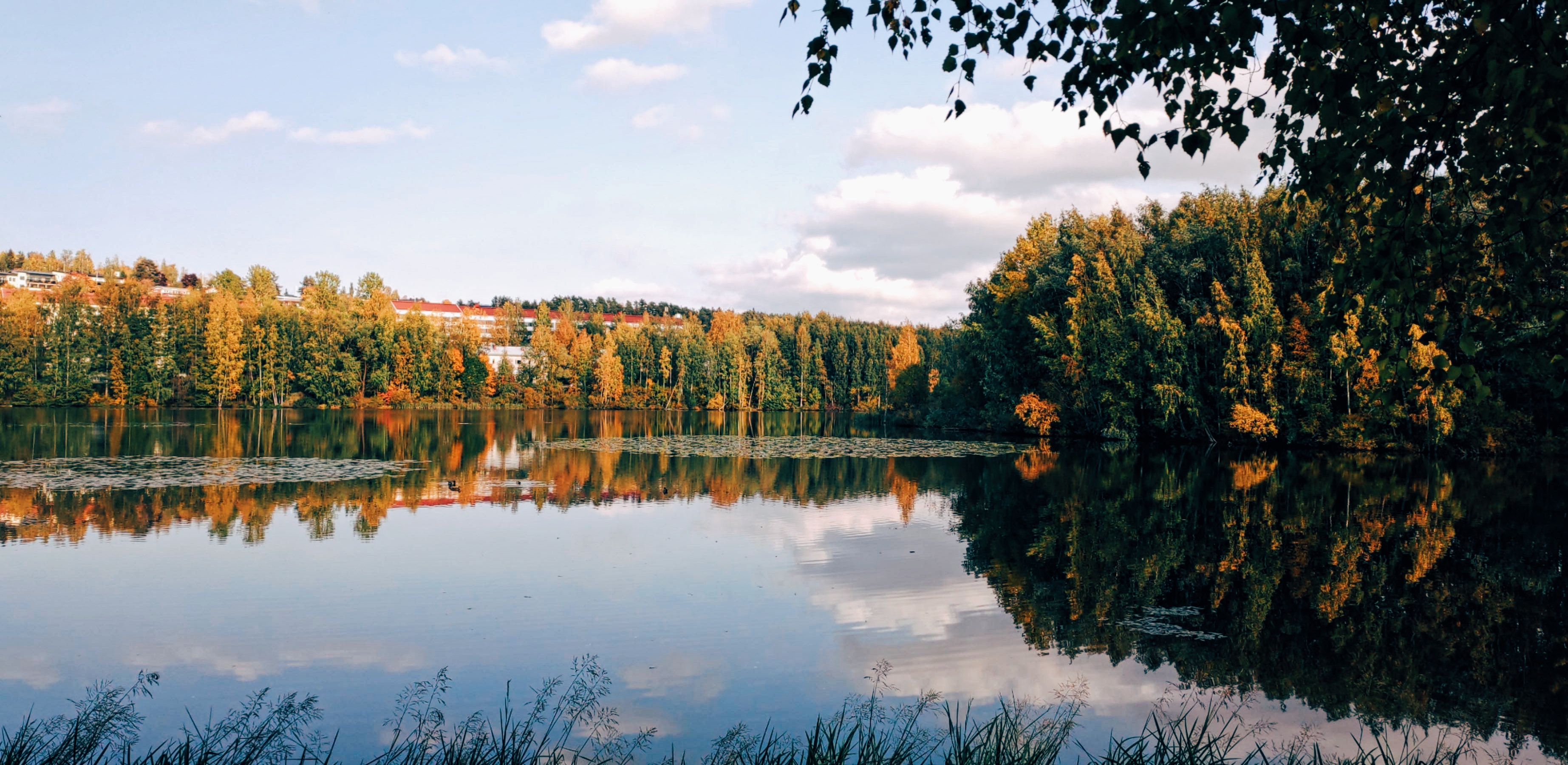 Tyyni järvenselkä.