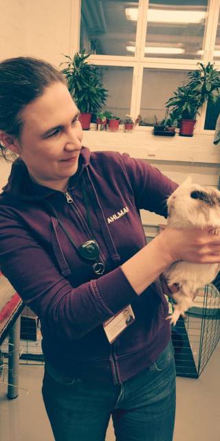 Anne-Mari tarkistaa marsua,