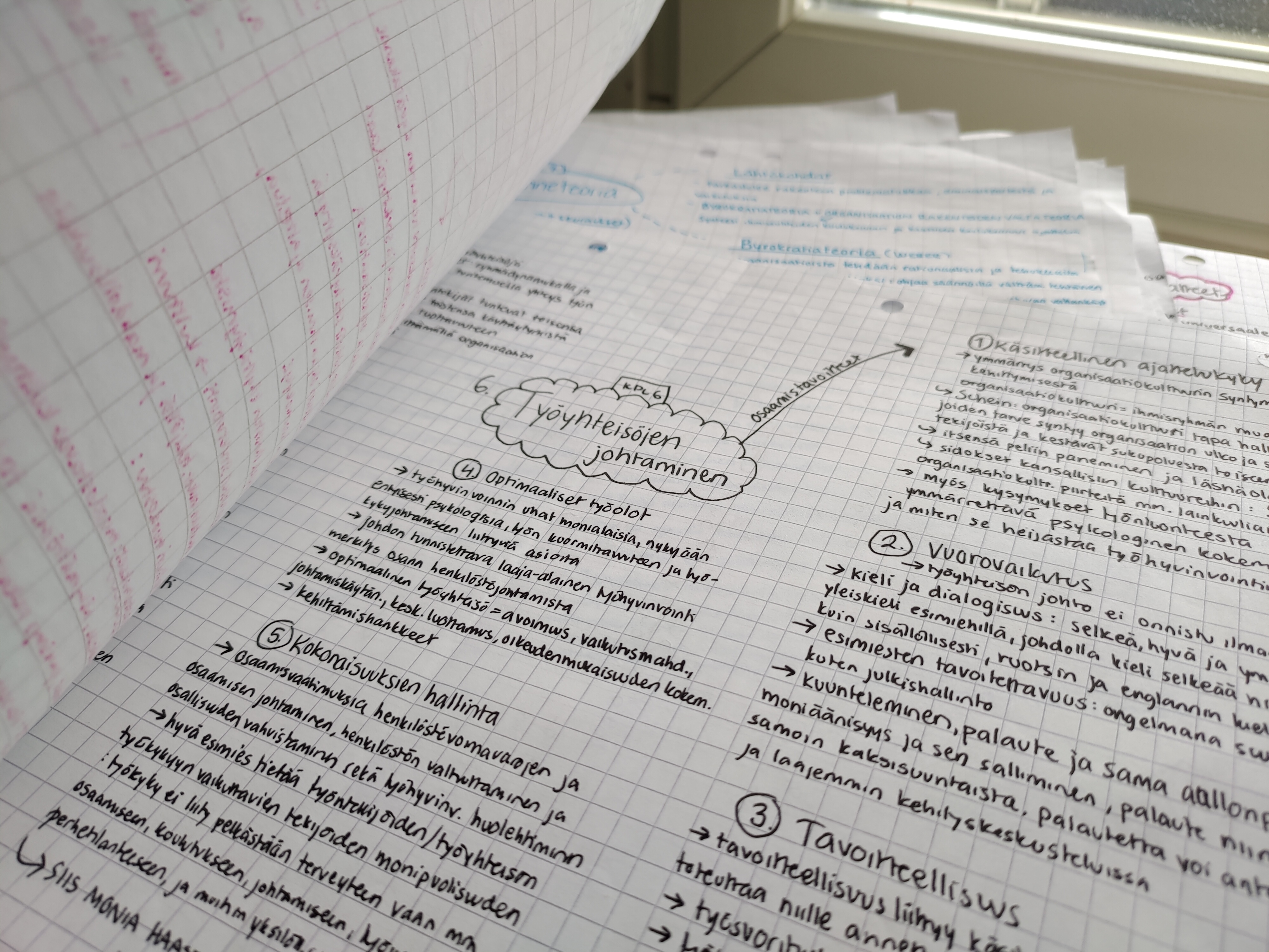 Muistiinpanoja vihossa, aiheena työyhteisöjen johtaminen.