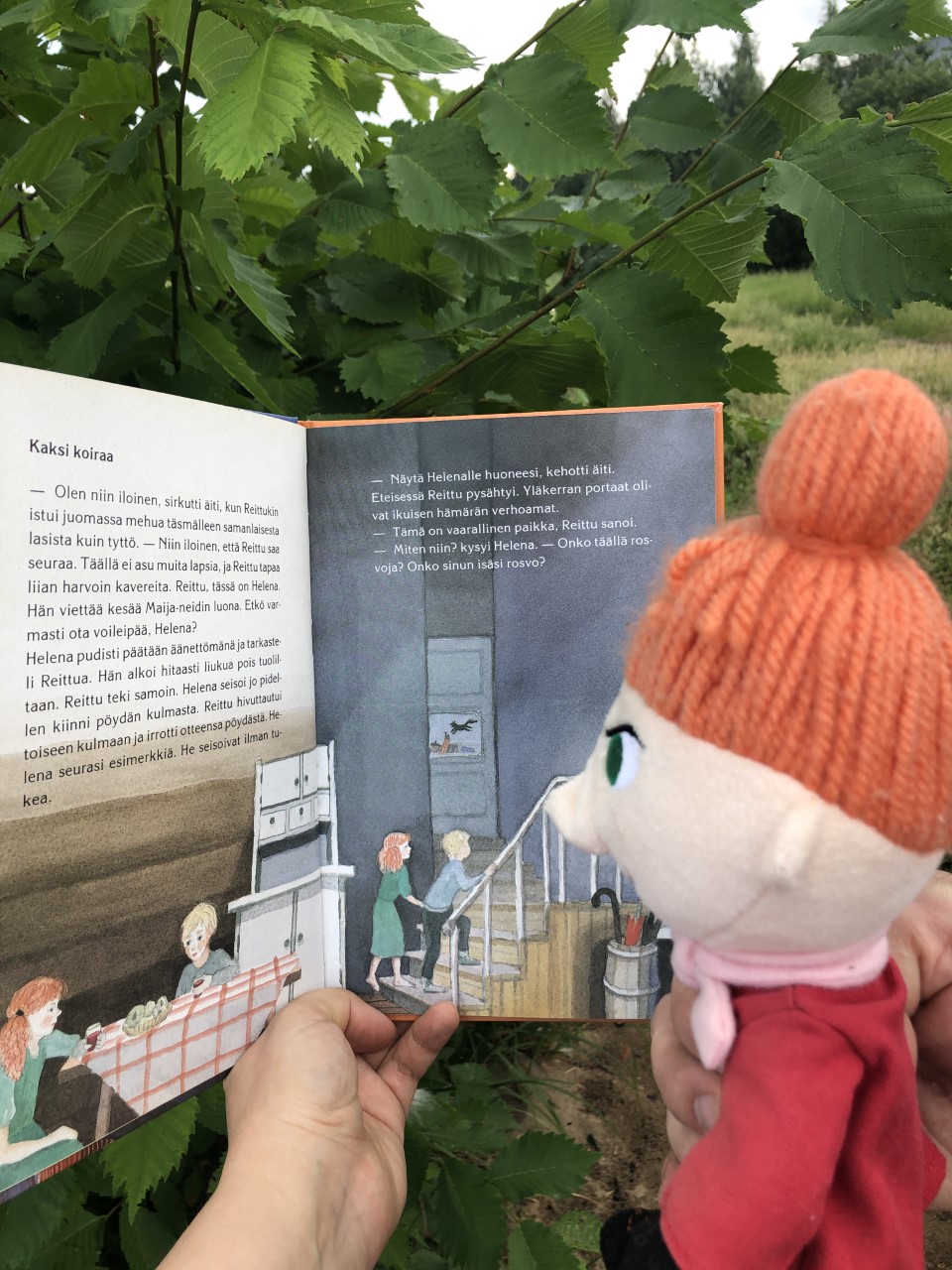 A hand holding a book and a Pikku My toy.