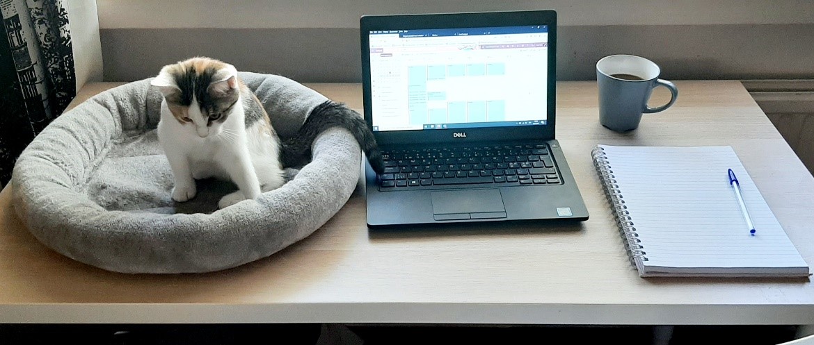 Pöydällä kissanpentu, läppäri, kahvikuppi ja vihko.