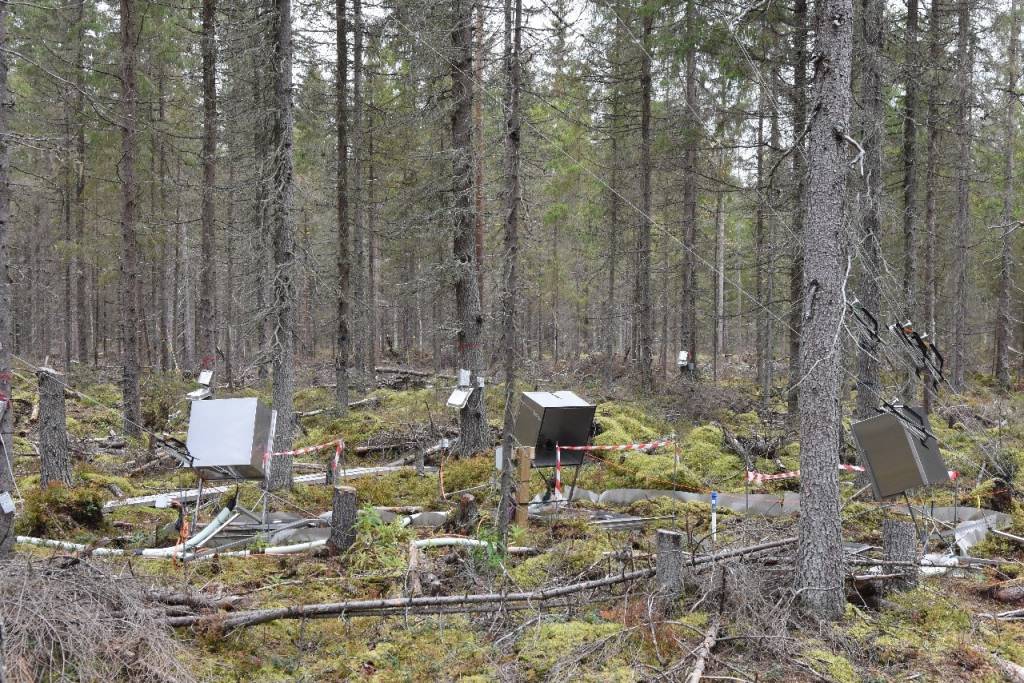 Laitteita kasvihuonepäästöjen tutkimiseen metsässä.