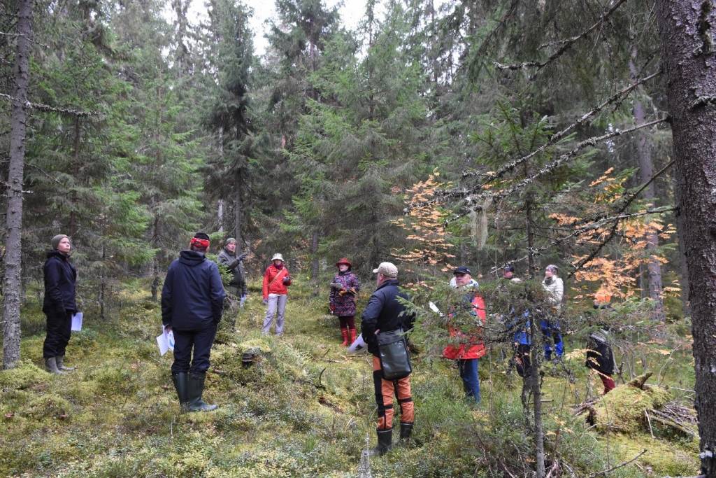 Maastokoulutusta metsässä.