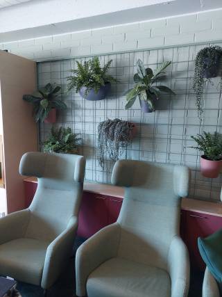 Kuvassa luontotila, jossa tekokasvit seinällä ja isoja nojatuoleja.
