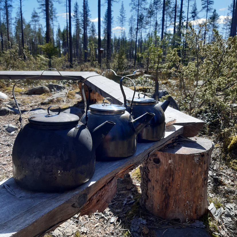 Metsäkohteiden yhteydessä keitettiin nokipannukahvit.