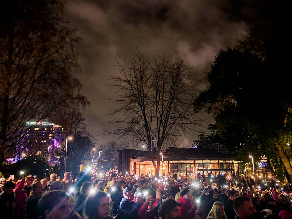Crowd watching show in the park.