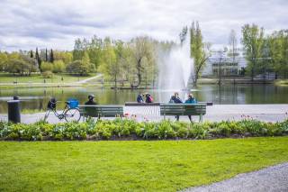 A photo of sorsapuisto pond with a fountain in the center. People are sitting together on benches surrounding the pond.