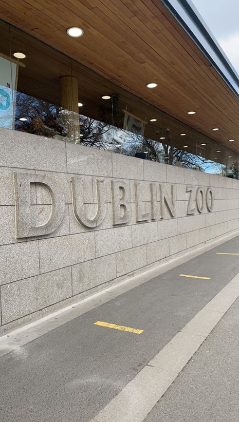 Eläintarhan ulkopuolelta