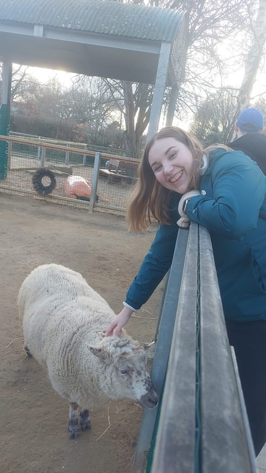 Opiskelija rapsuttaa lammasta