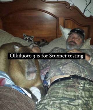 Meemikuva mies ja eläimiä sängyllä