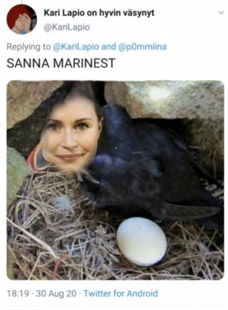 meemikuva sanna marin