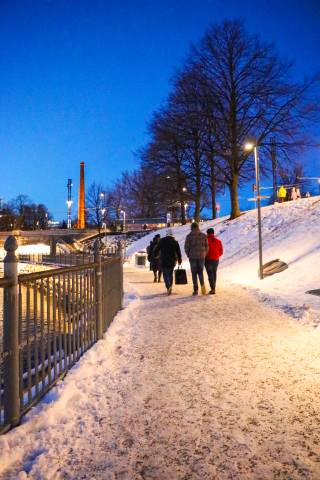 Wintery landscape in a park.