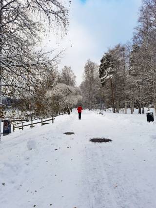 Wintery landscape in a park.