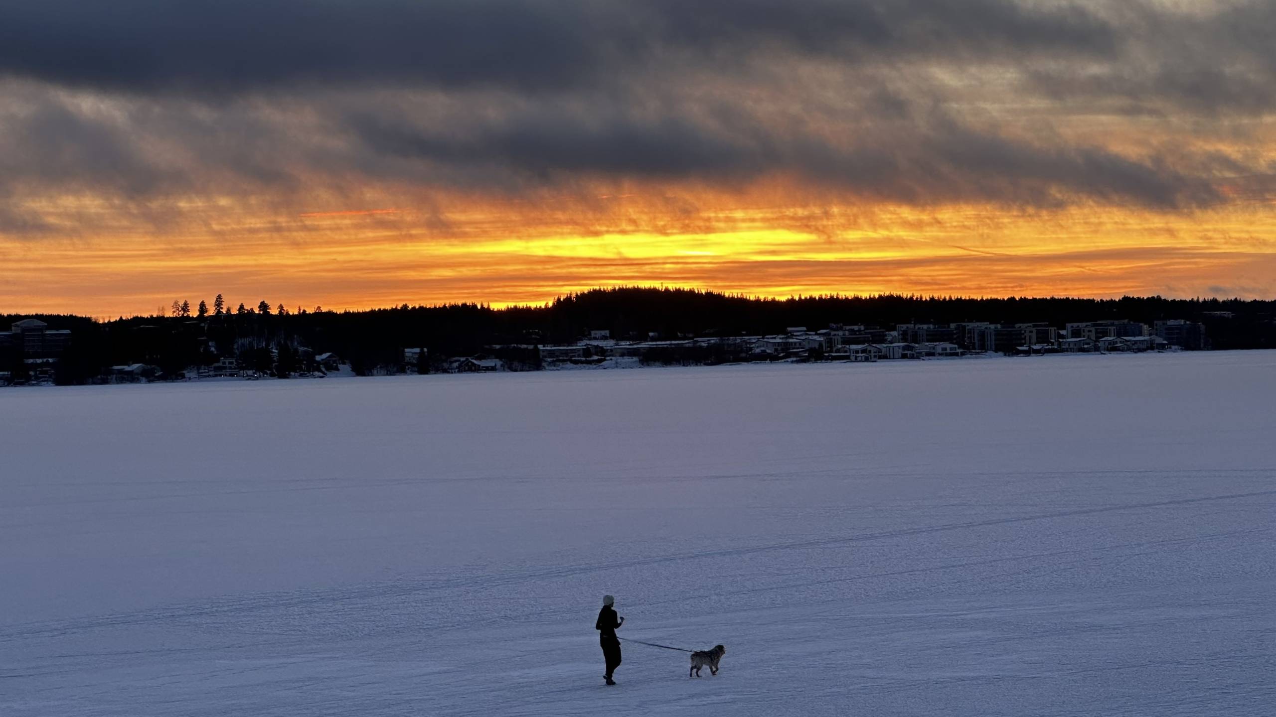 A rare winter sunset paints the snow-covered Pyynikki ridge in golden hues.