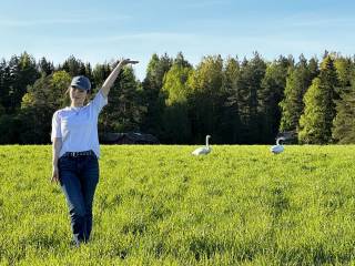 A Personal Moment with two Swans - making a new feathered friend in Tampere