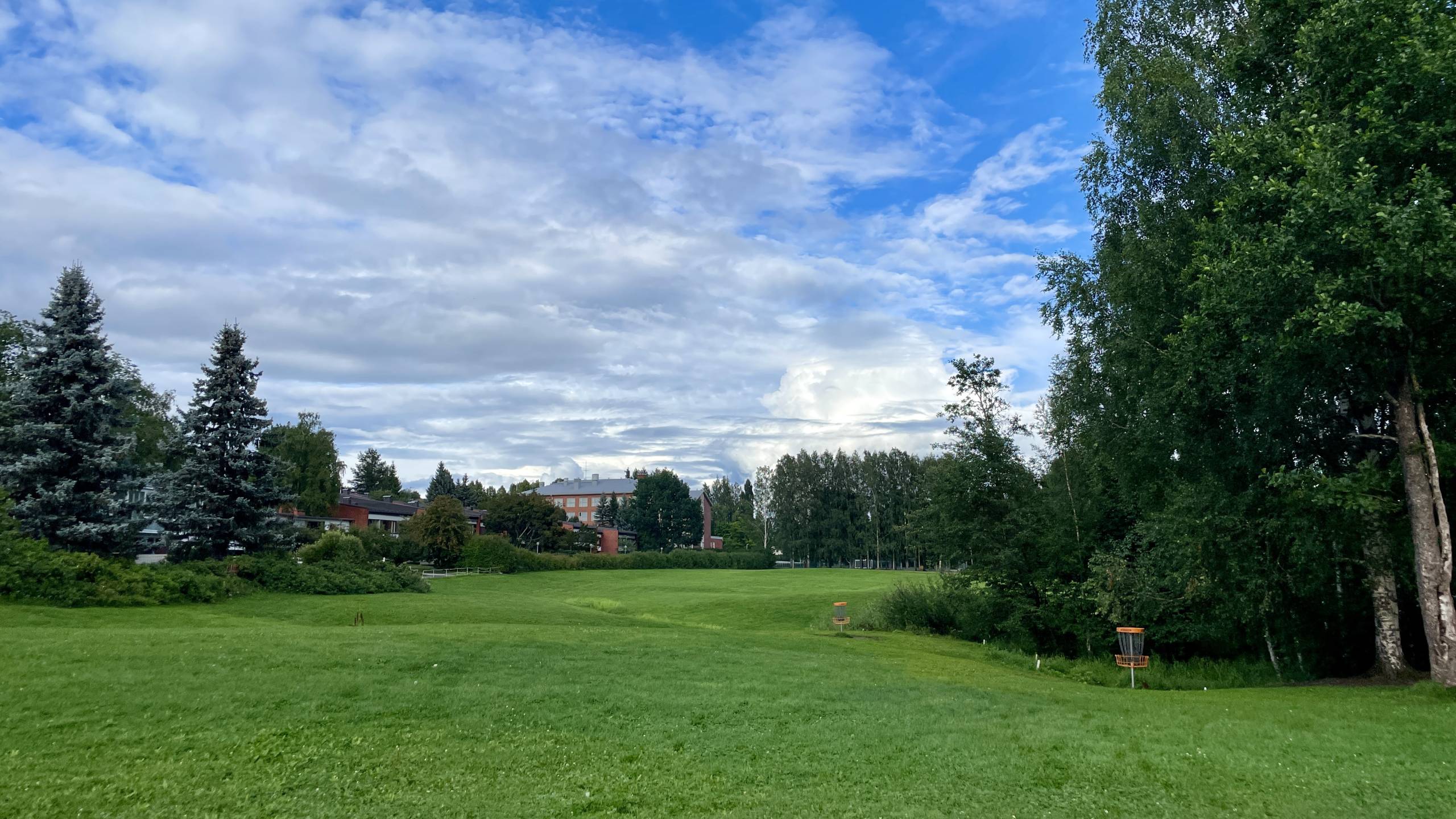 The lush green trails of Tampere’s frisbee golf course—perfect for a sunny afternoon with friends.