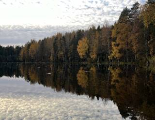 Ruskamaisema järven rannalta
