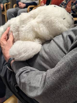 Lähikuva Paro-robotista, joka on asukkaan sylissä. 