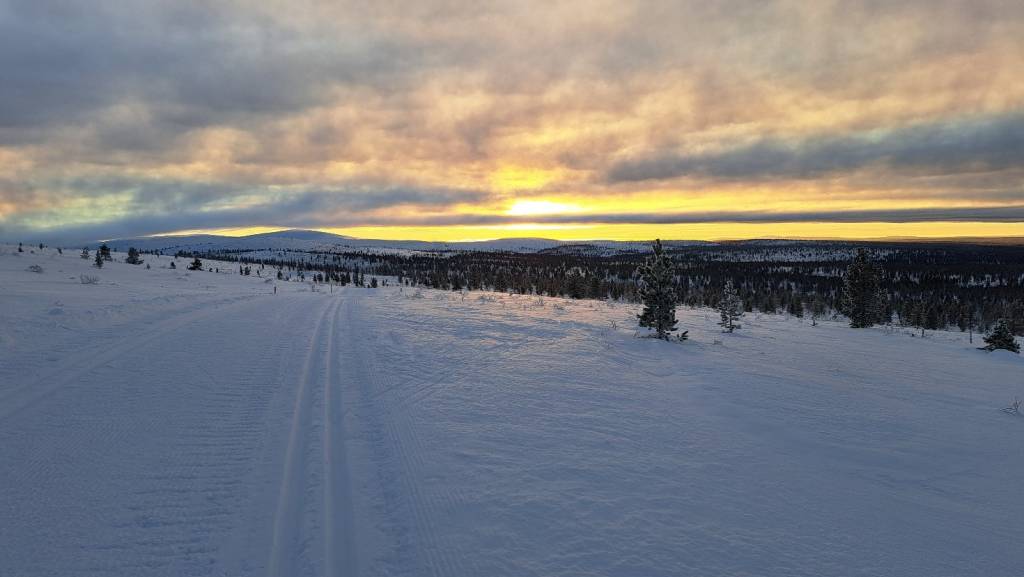 A view over the fells.