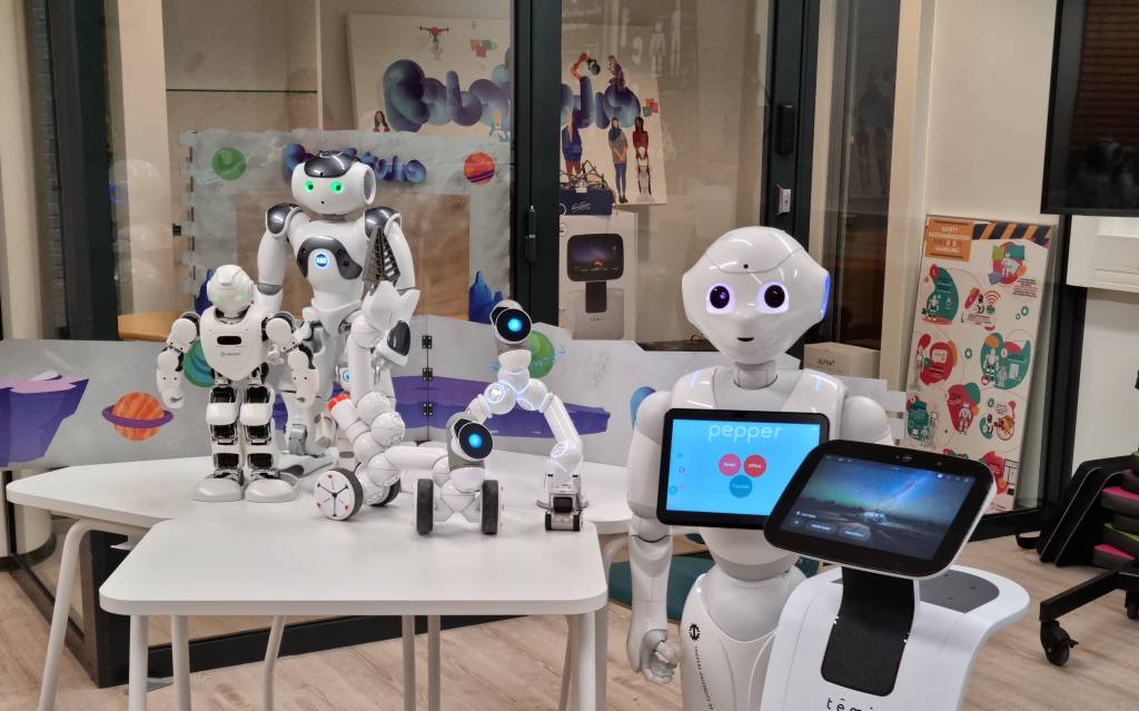 DIfferent social robots