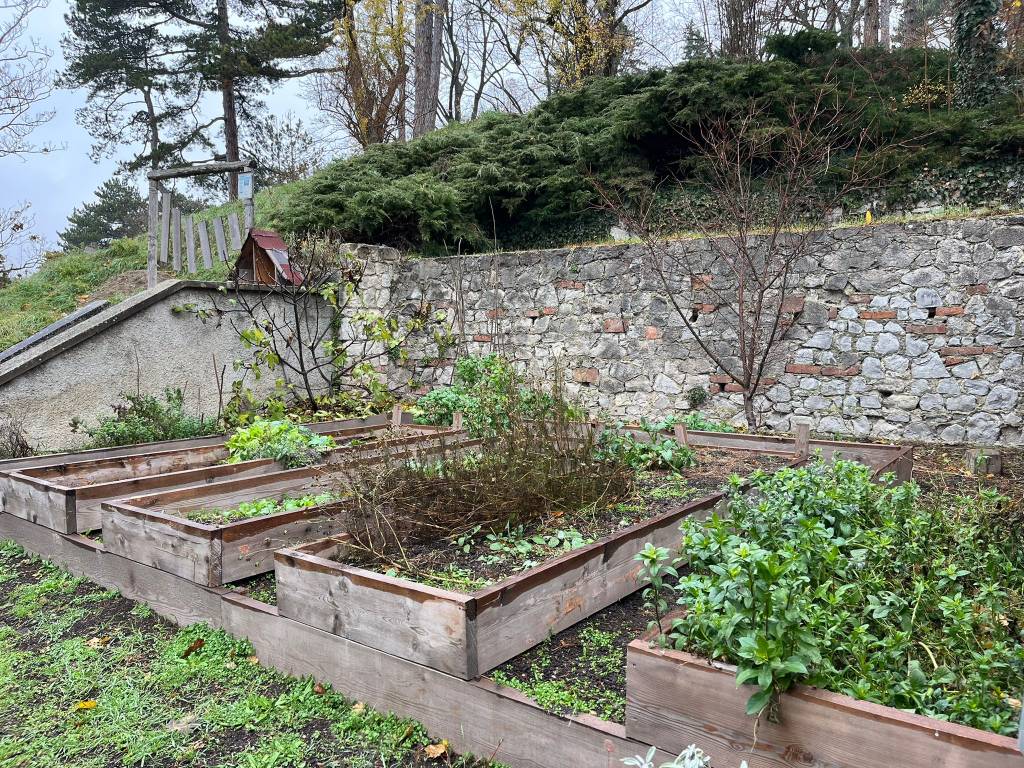 Educational garden at HAUP.
