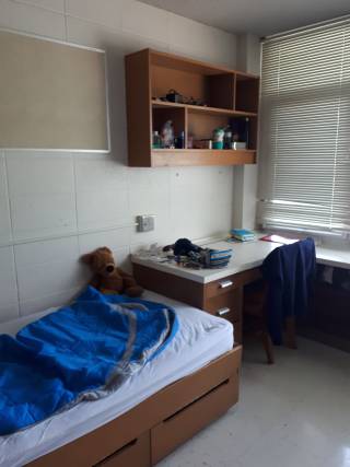 A bed, a desk, and a shelf in a white room. There is a blue sleeping bag and a teddy bear on the bed.