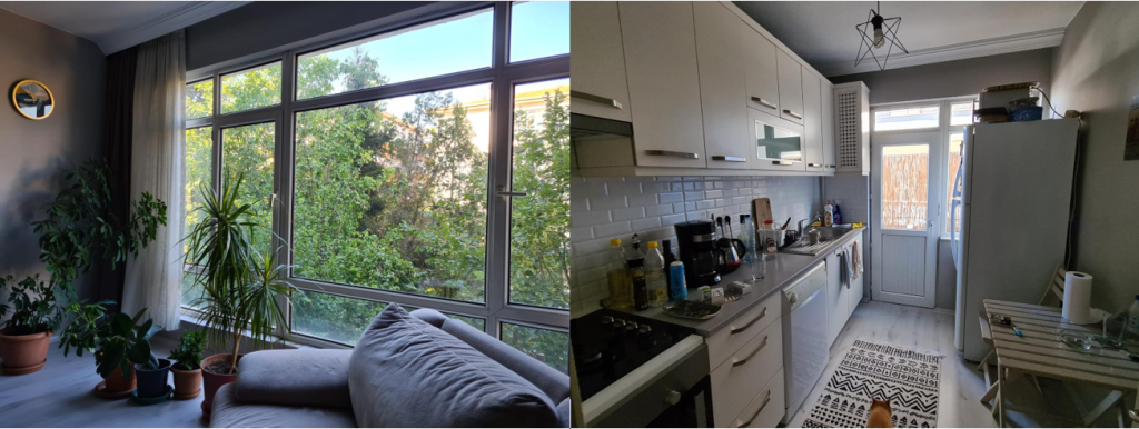 Two images next to each other, the first shows a living room with a big window overlooking trees, the other a kitchen with an orange cat