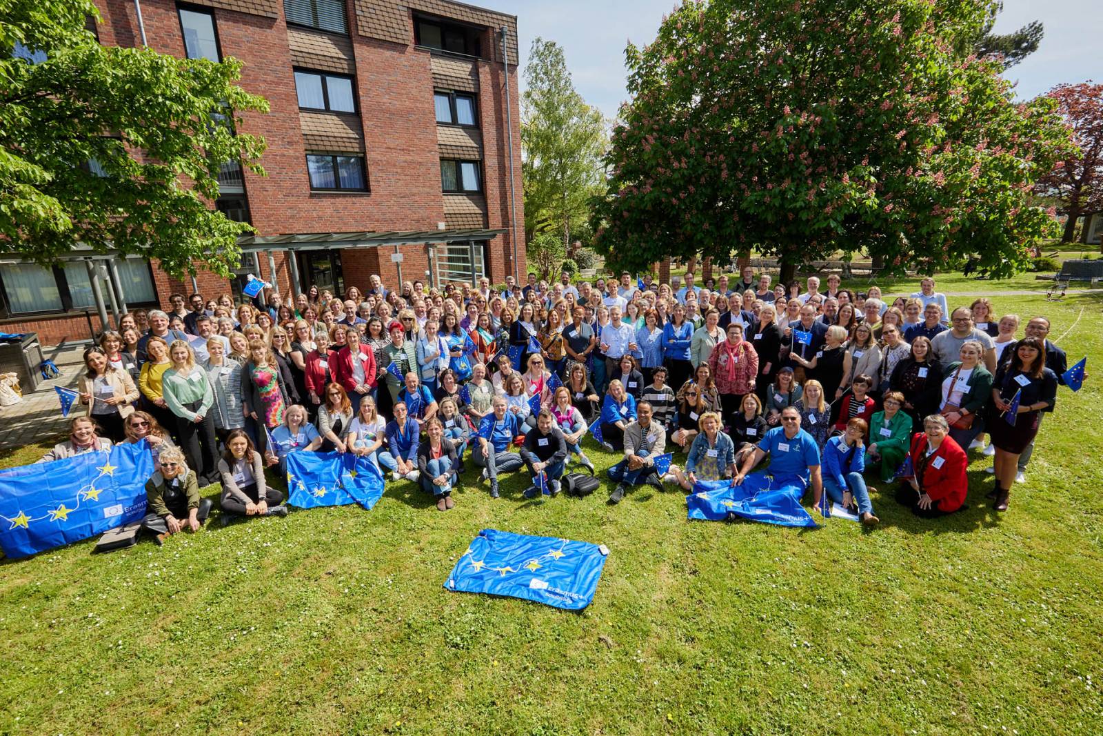 People sitting on a grass on a sunny day.