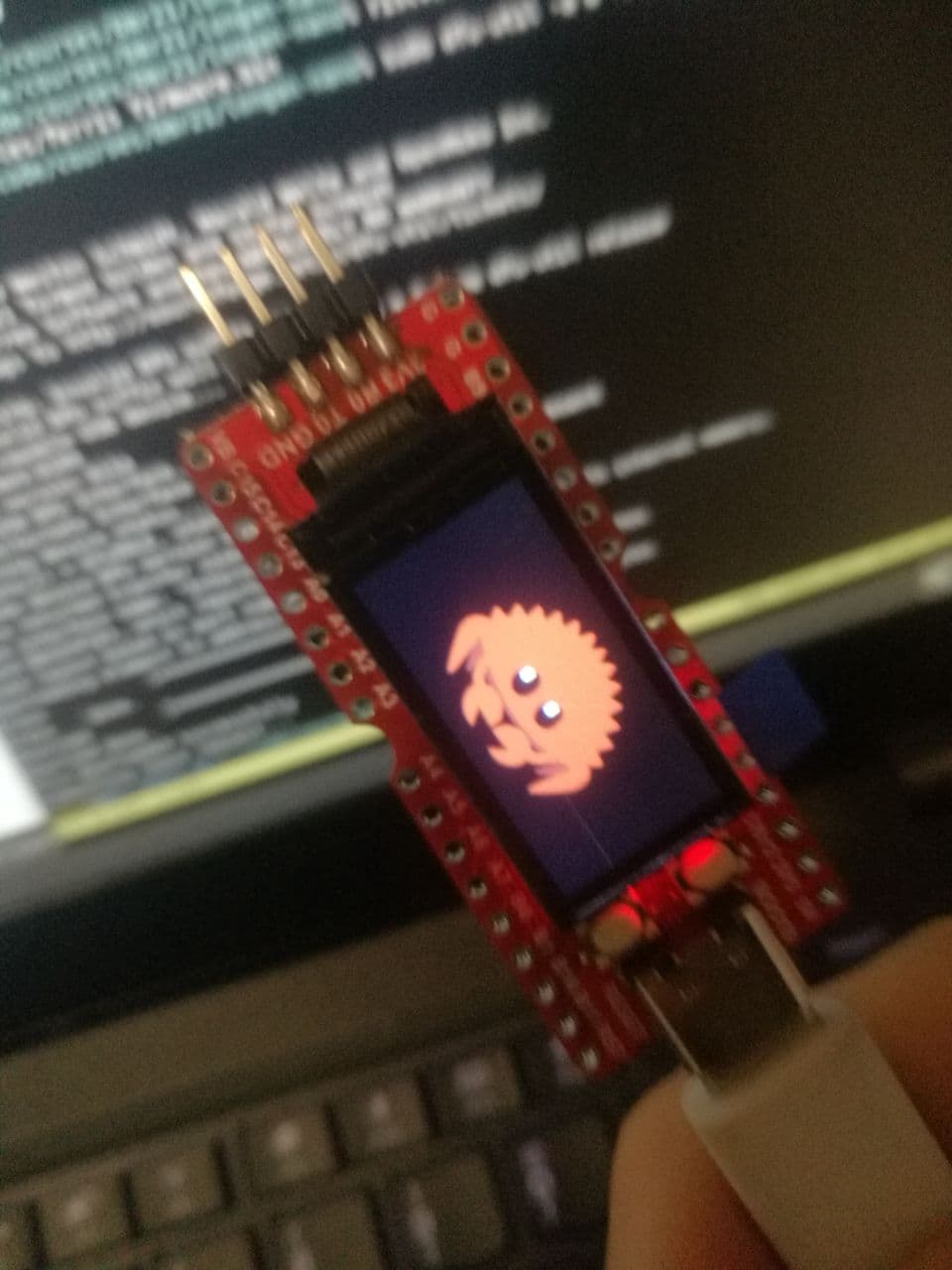 An image showing a Longan Nano with an LCD displaying Ferris the Crab