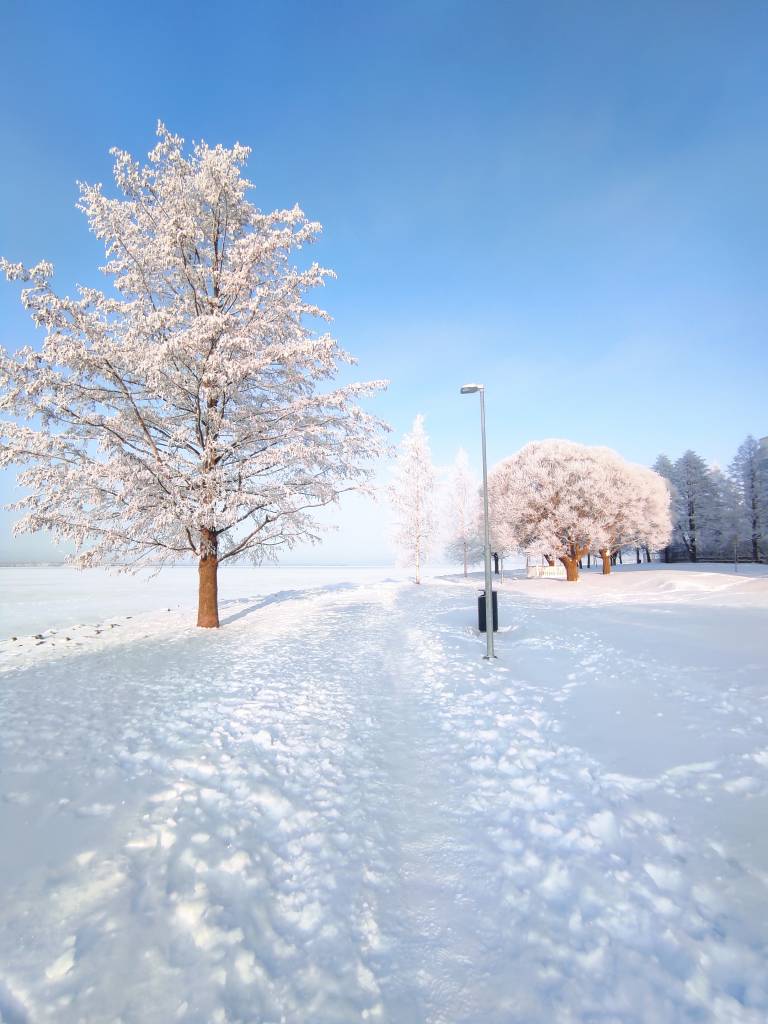 Beautiful Winter Landscape