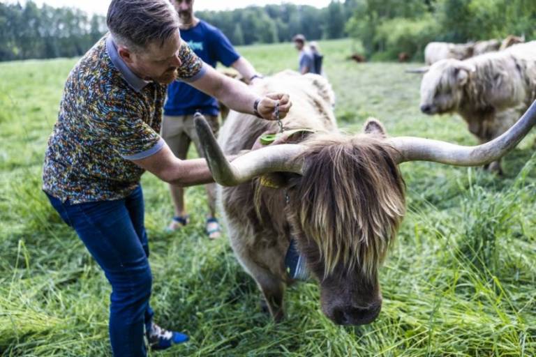 Tutkimus, kuinka liikkeesta latautuva kineettinen energia saataisiin kerättyä talteen, jolloin siitä voitaisiin tuottaa sähköä