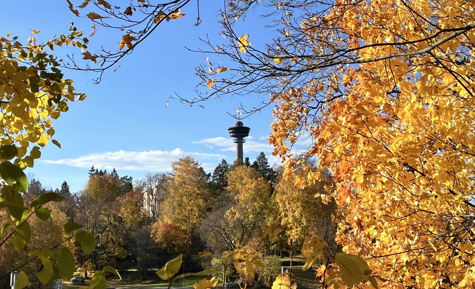 Syksyinen kuva Näsinneulasta ruskamaisemassa