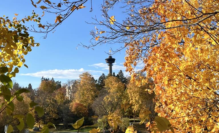 Syksyinen kuva Näsinneulasta ruskamaisemassa