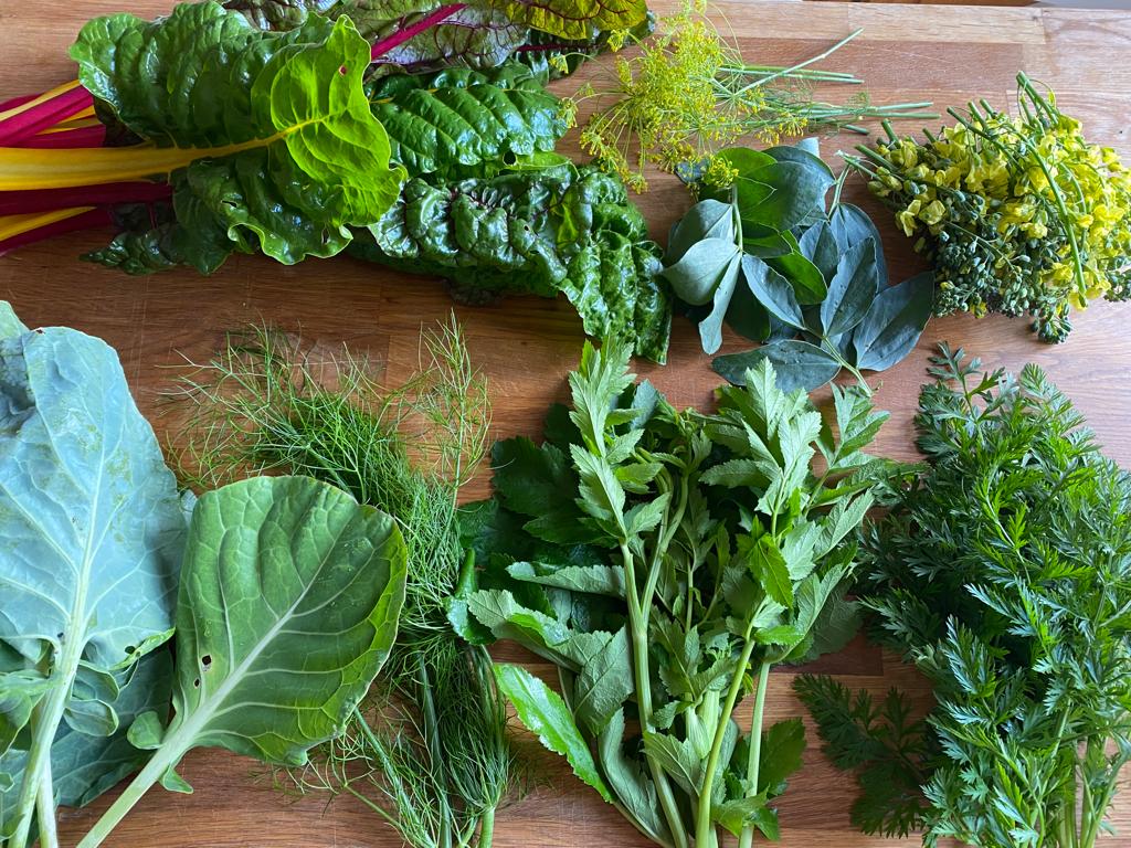 Yrttejä ja kasveja pöydällä.