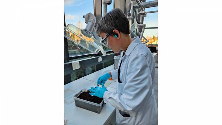 Researcher adding water to compost bowl.