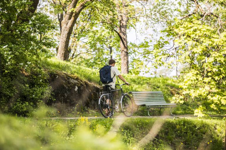 Pyöräilijä kesäluonnossa, kuvituskuva