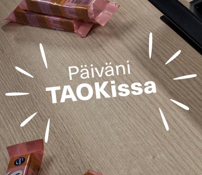 Teksti "Päiväni TAOKissa"