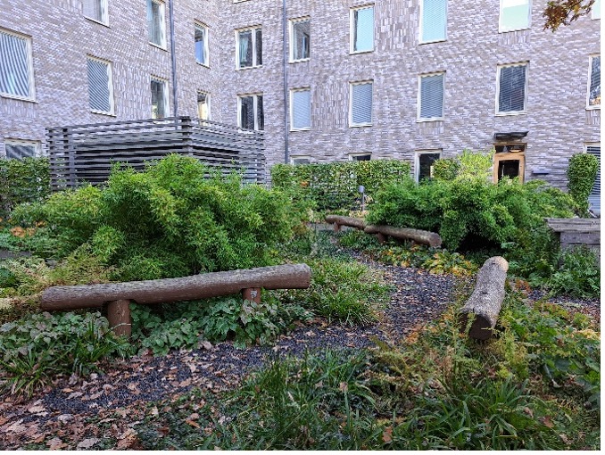 Lush green courtyard in Uppsala