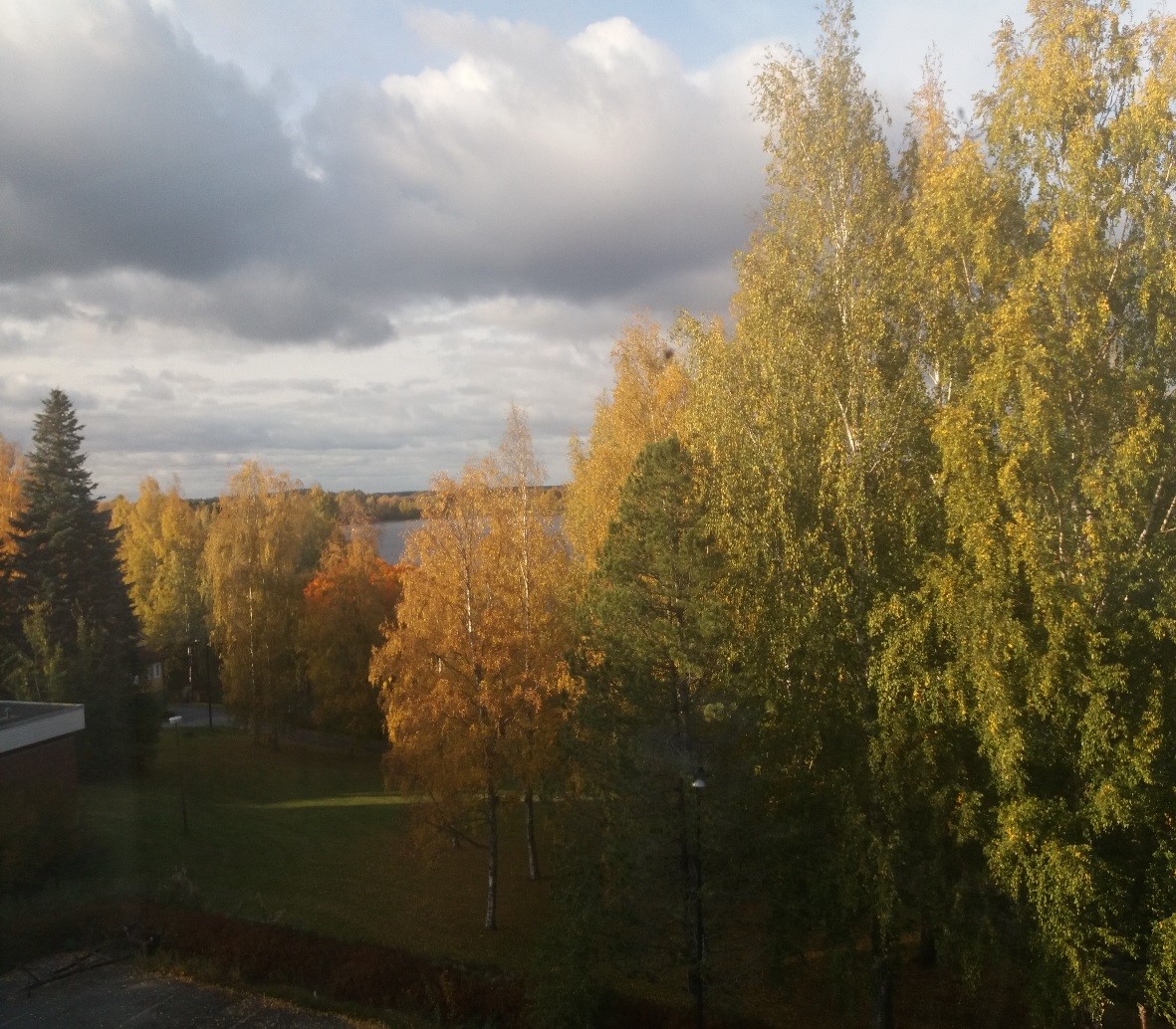 Maisema. Kuvituskuva.