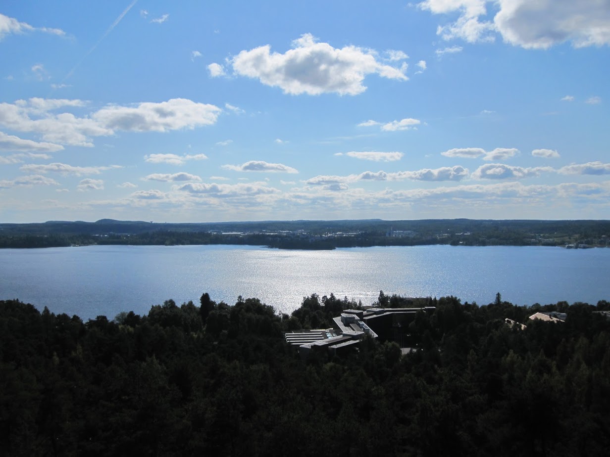 Järvinäkymä ja metsää ylhäältä kuvattuna.