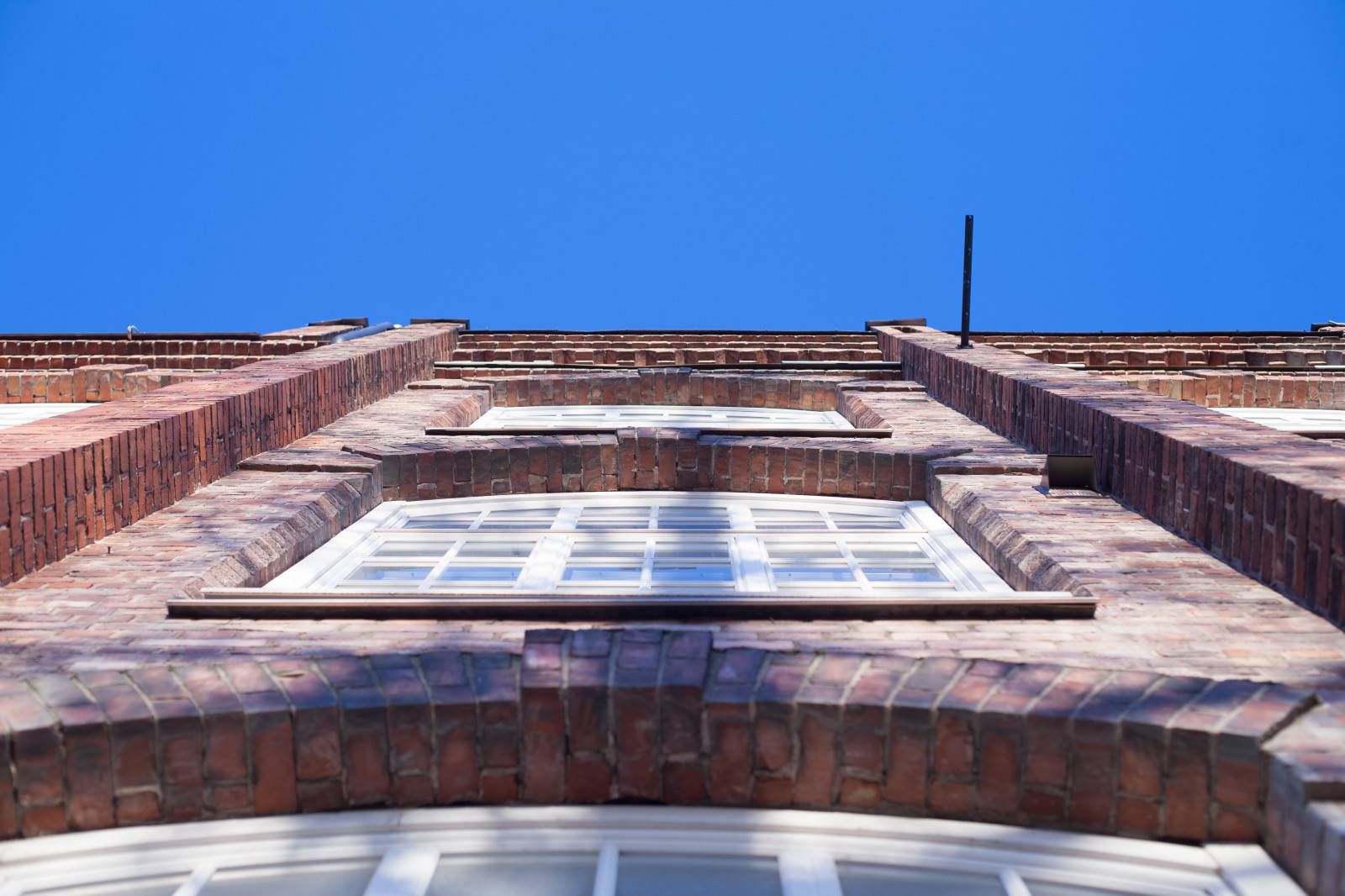 Katsot kuvassa ylöspäin kohti sinistä taivasta punaisen tiiliseinän edessä. Tiiliseinässä on valkoiset ruutuikkunat.