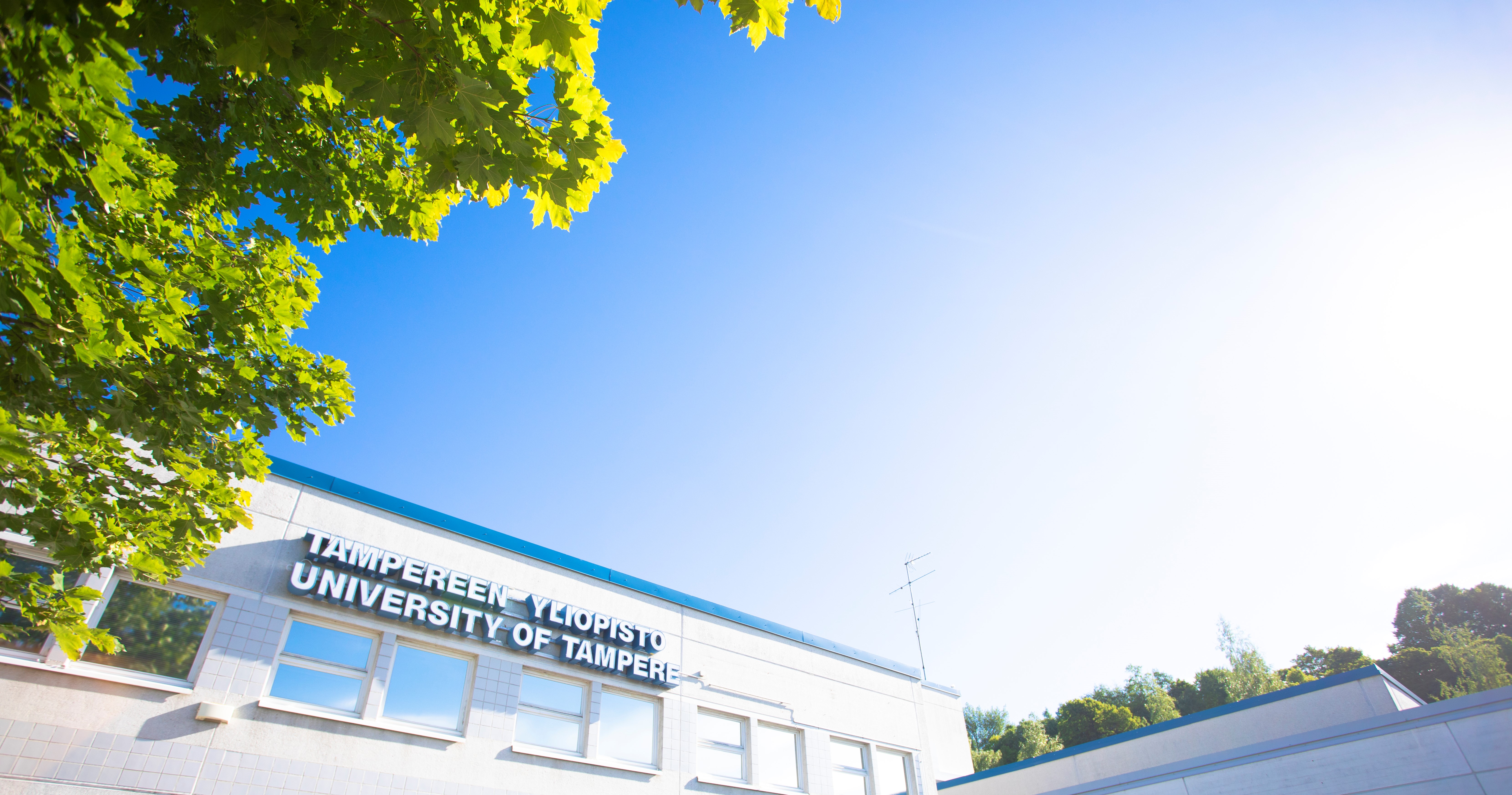 Kuva, jossa Tampereen yliopiston Atalpa-rakennus, jossa lukio sijaitsee.