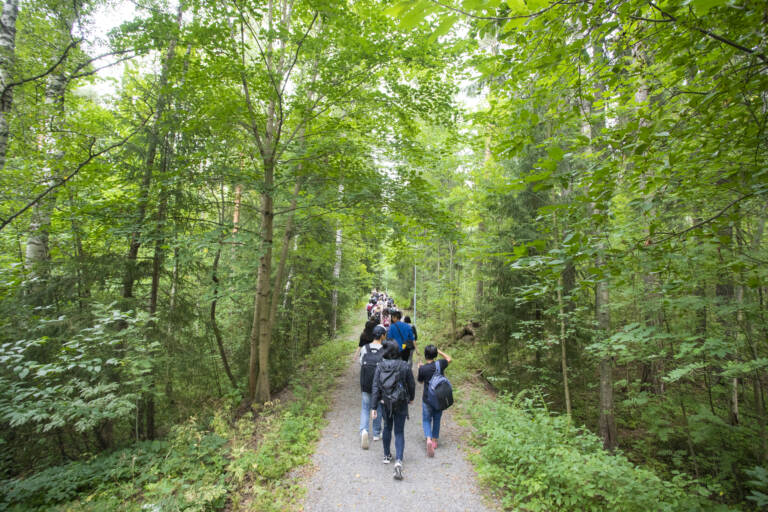 Ihmisiä kävelemässä metsässä polkuja pitkin.