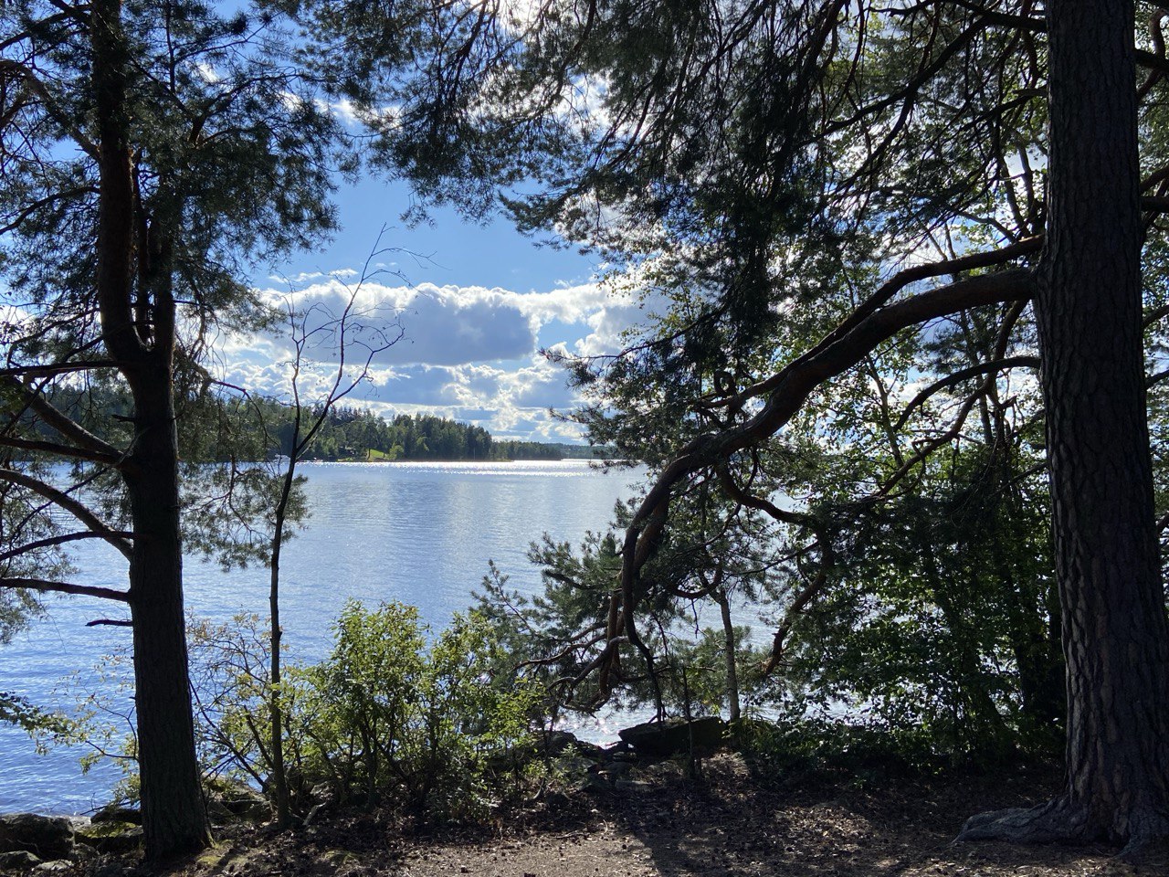 The view from the forest to the lake. The day is bright and sunny, and it's the perfect summer weather.