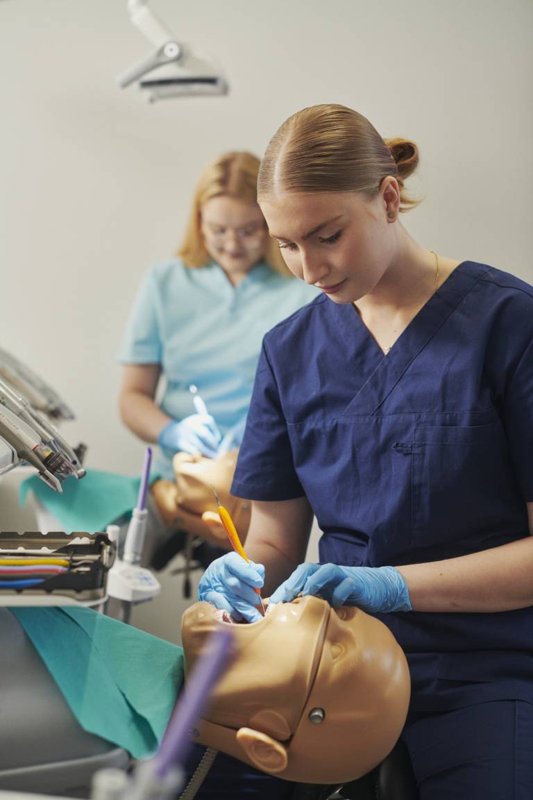 kuvituskuva. Kuvassa suuhygienistien opetushetkestä.