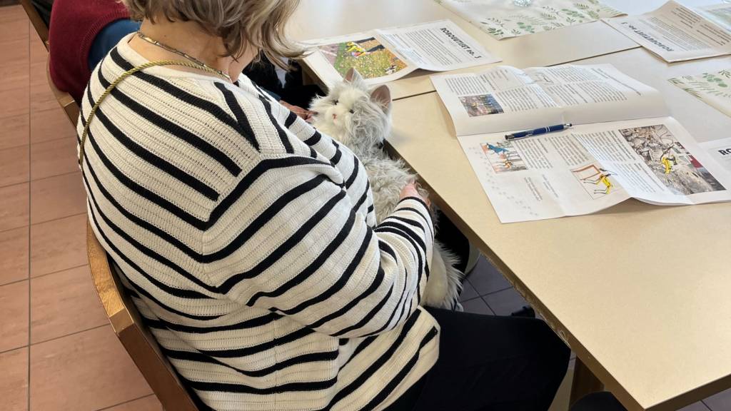 Ihminen ja robottikissa